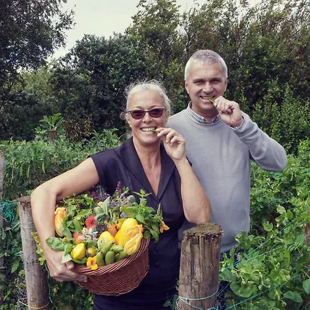 Ardagh & Restaurant Otel Clifden