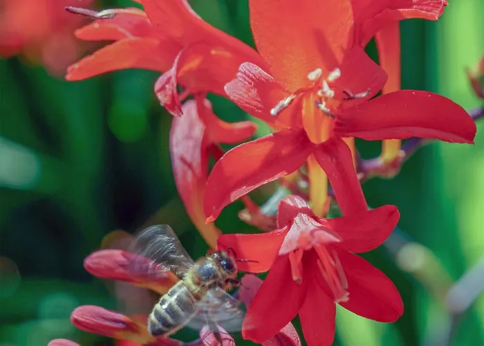 阿德酒店＆餐厅 克利夫登